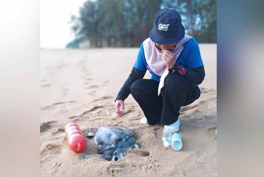 Keadaan bangkai penyu agar ketika dijumpai terdampar di Pantai Chakar Hutan, Kerteh di Kemaman.