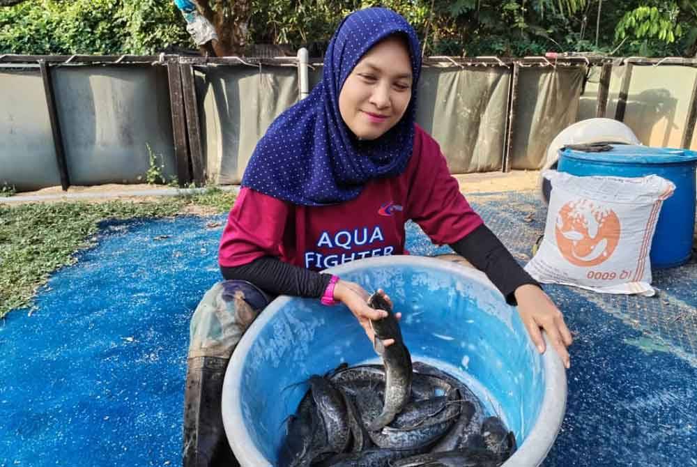 Ann Bazlin menunjukkan antara ikan keli yang diternak di kolam ternakan di Kampung Gong Pasir, Kerandang, Besut.