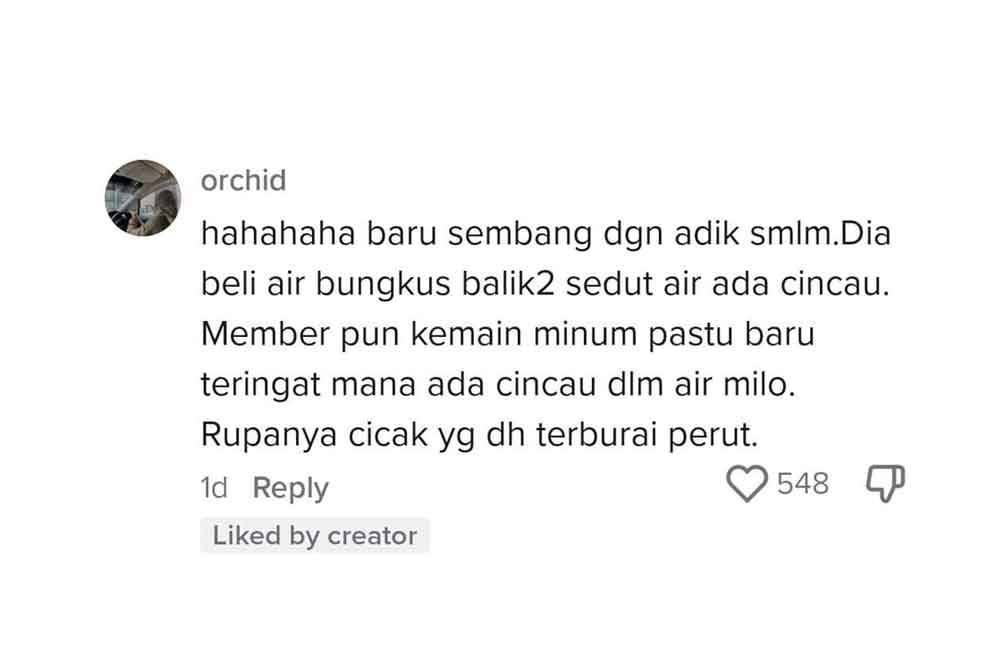 Tangkap layar hantaran @hot.milo88 di ruangan komen video tersebut pada Selasa.