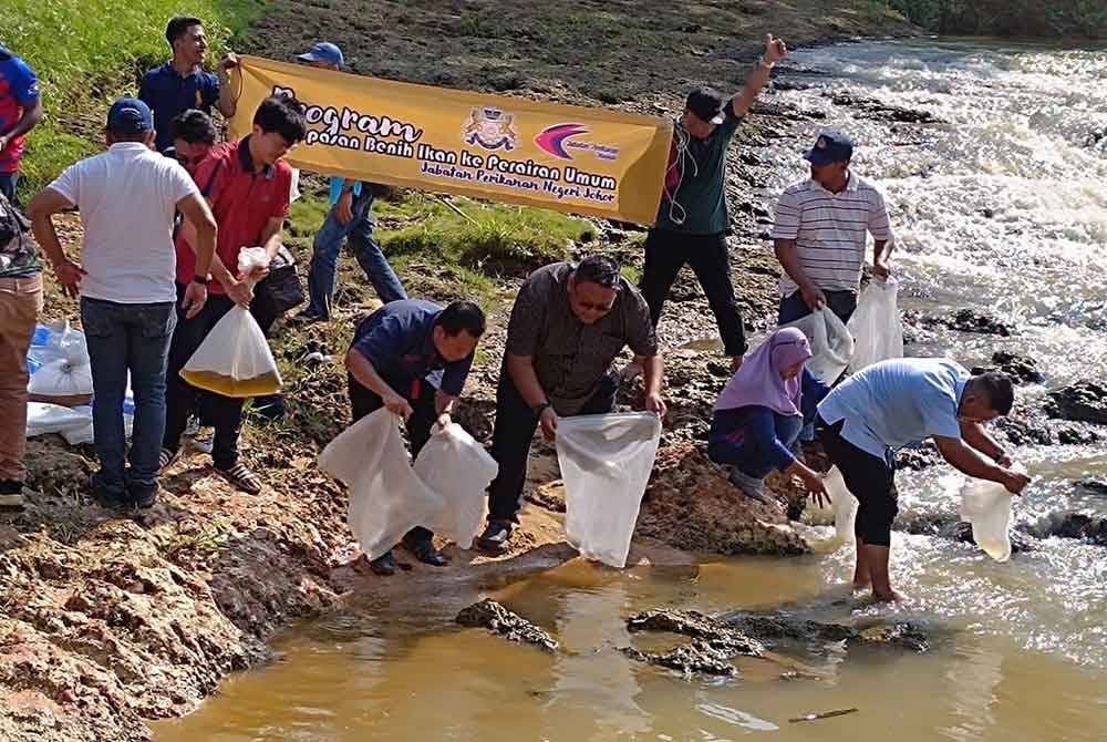 Benih ikan asli dilepaskan di perairan sungai di Johor.
