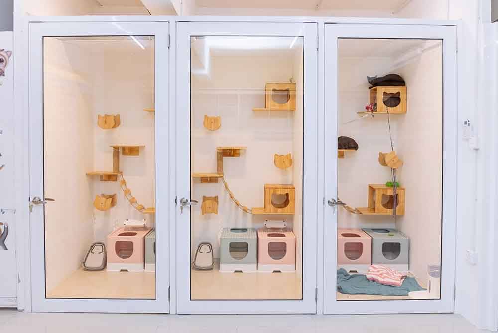 Antara penginapan yang disediakan untuk 'si bulus' di Cattopia Cat Hotel and Grooming