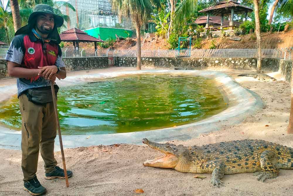 Saifullah ketika memberi penerangan mengenai haiwan pemangsa itu.