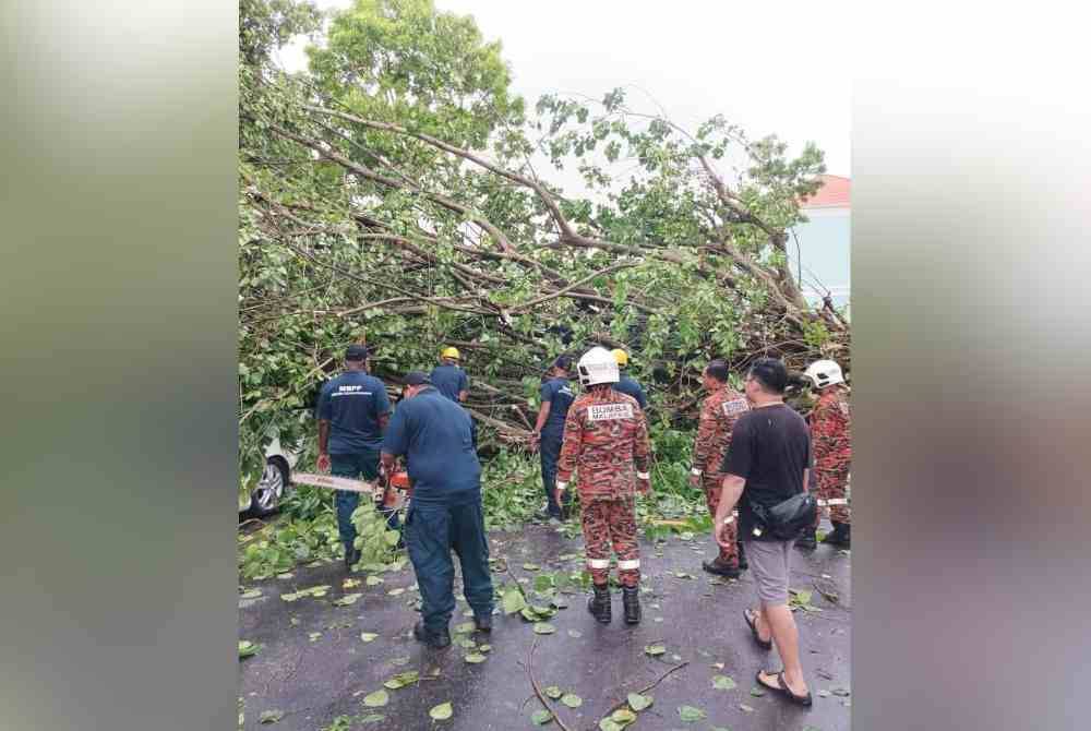 Kakitangan MBPP dan anggota bomba sedang berusaha mengalih dan membersihkan pokok tumbang dalam kejadian pada Rabu. FB MBPP