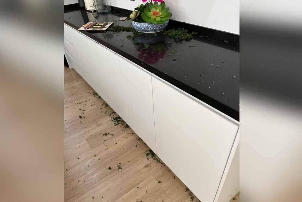 Kediaman rasmi Menteri Ekonomi, Rafizi Ramli 'dipecah' masuk 10 suspek sewaktu pulang ke kampung halaman sempena cuti Hari Raya Aidilfitri baru-baru ini.