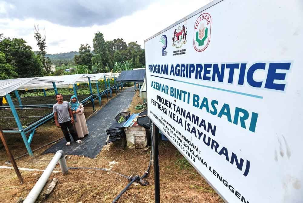 Noor Azlan dan Azemar merupakan antara pengusaha sayur maman secara fertigasi yang terawal.