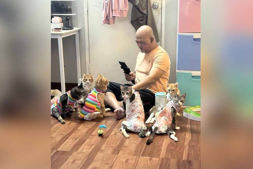 Waktu untuk menguruskan kesemua 28 kucing itu mengambil masa lebih kurang 8 jam sehari termasuk makan, minum dan proses membuang air besar atau kecil.