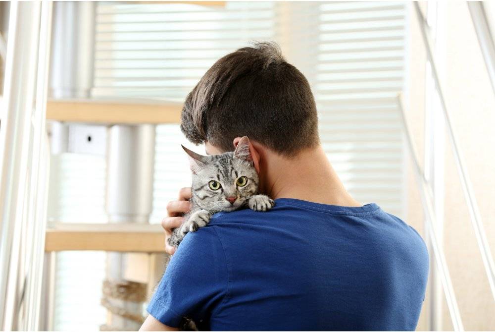 KUCING dianggap haiwan yang suci kerana sering berkeliaran di sekitar manusia. Foto Canva