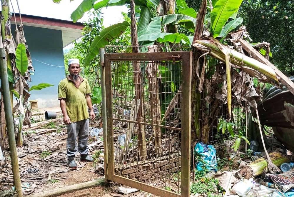 Kedudukan Mohd Shawal ketika berdepan dengan gajah terbabit dalam jarak dekat berhampiran tepi pagar kebun miliknya pada Sabtu lalu.