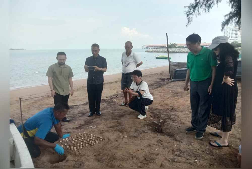 
Musim pendaratan penyu di pantai peranginan di sini sudah bermula apabila 159 biji telur penyu Karah ditemui di Pantai Tanjung Gemok, awal pagi Jumaat.