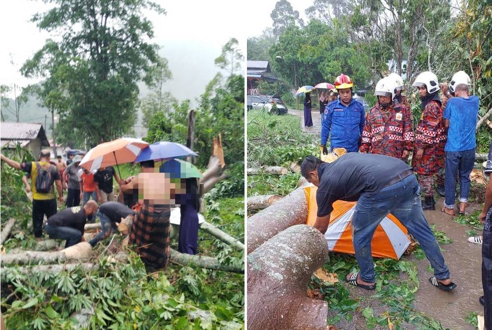 Seorang warga emas maut dihempap pokok tumbang dalam kejadian hujan lebat dan angin kencang di Pulai pada Jumaat. Foto media sosial
