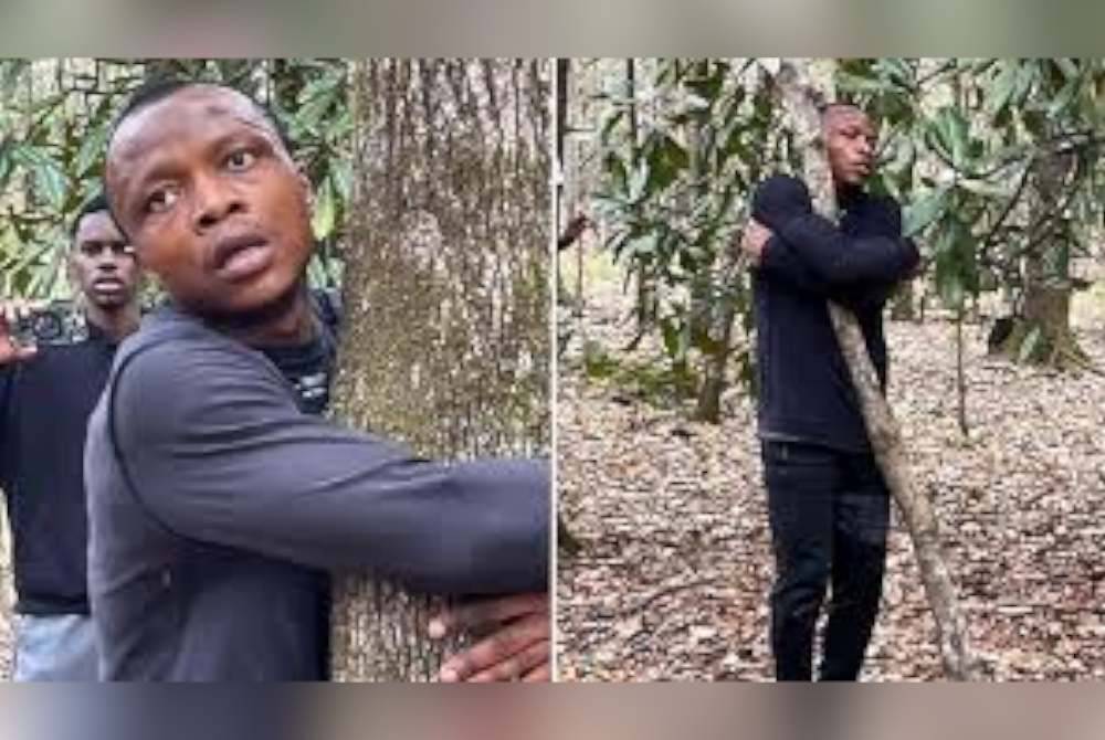 Abubakar memeluk pokok untuk memecah rekod dunia di Taman Hutan Negara Tuskegee, AS. Foto Agensi