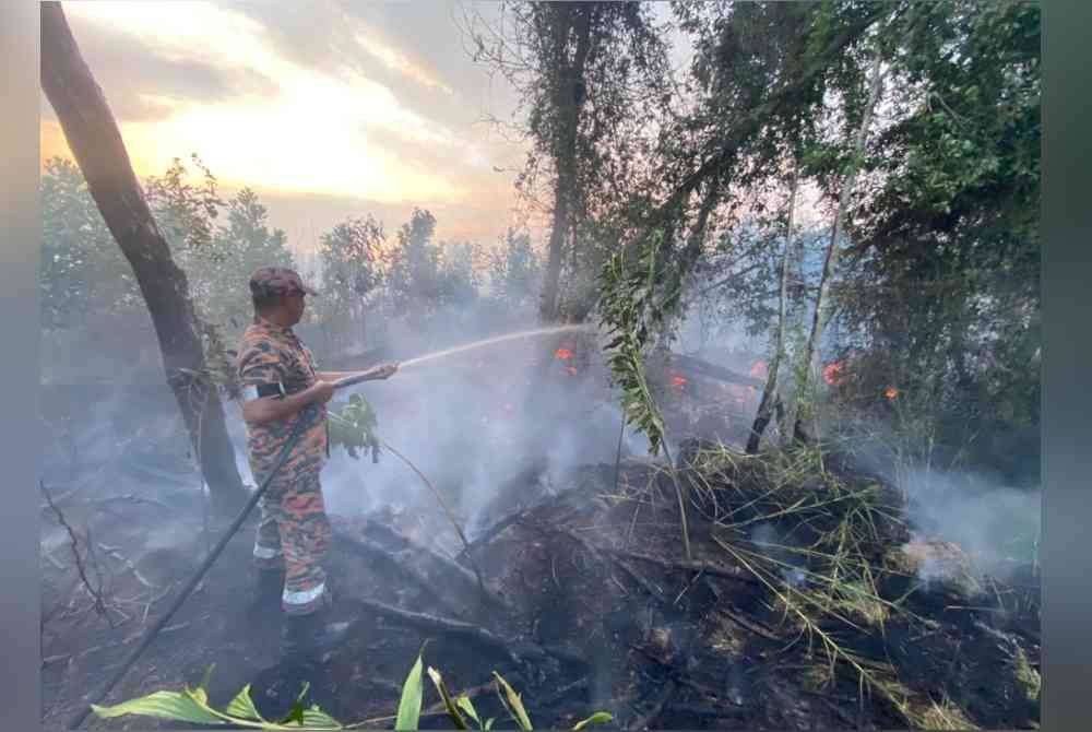 Kawasan hutan gelam seluas 4.7 hektar terbakar di Kampung Padang Baluh.