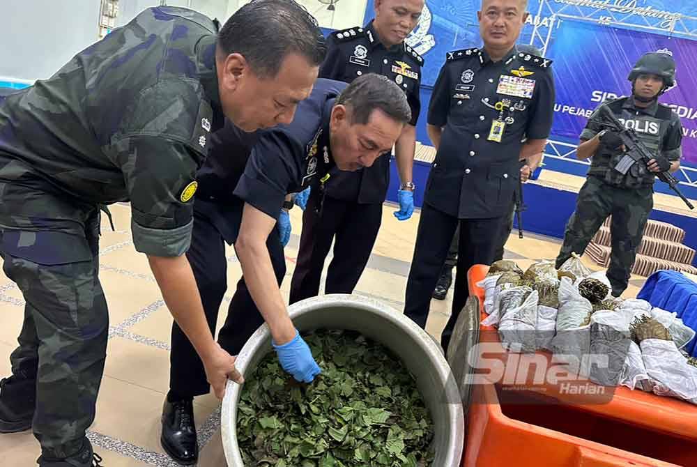 Muhamad Zaki (dua dari kiri) melihat daun ketum yang belum diproses.