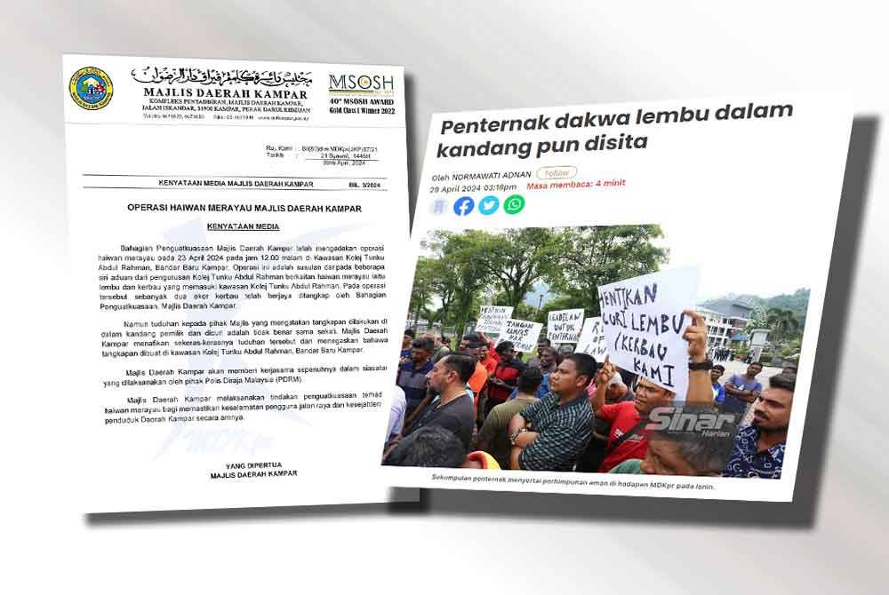 Kenyataan media Yang Dipertua MDKpr menafikan tuduhan mencuri ternakan (kiri). Sebelum ini sekumpulan penternak lembu dan kerbau mempersoal prosedur operasi tangkapan oleh pihak berkuasa tempatan (PBT) selepas mendakwa haiwan ternakan mereka yang berada dalam kandang dan kawasan persendirian turut disita.