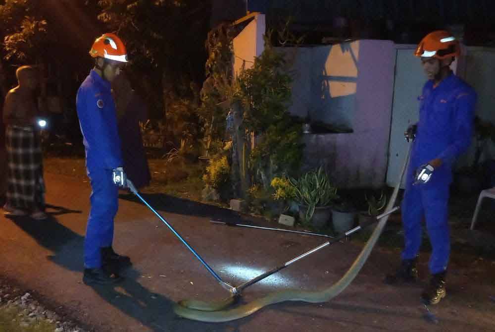 Ular dibawa pulang ke Pusat Kawalan Operasi APM Daerah Sik sebelum diserahkan kepada Jabatan Perlindungan Hidupan Liar dan Taman Negara (Perhilitan).