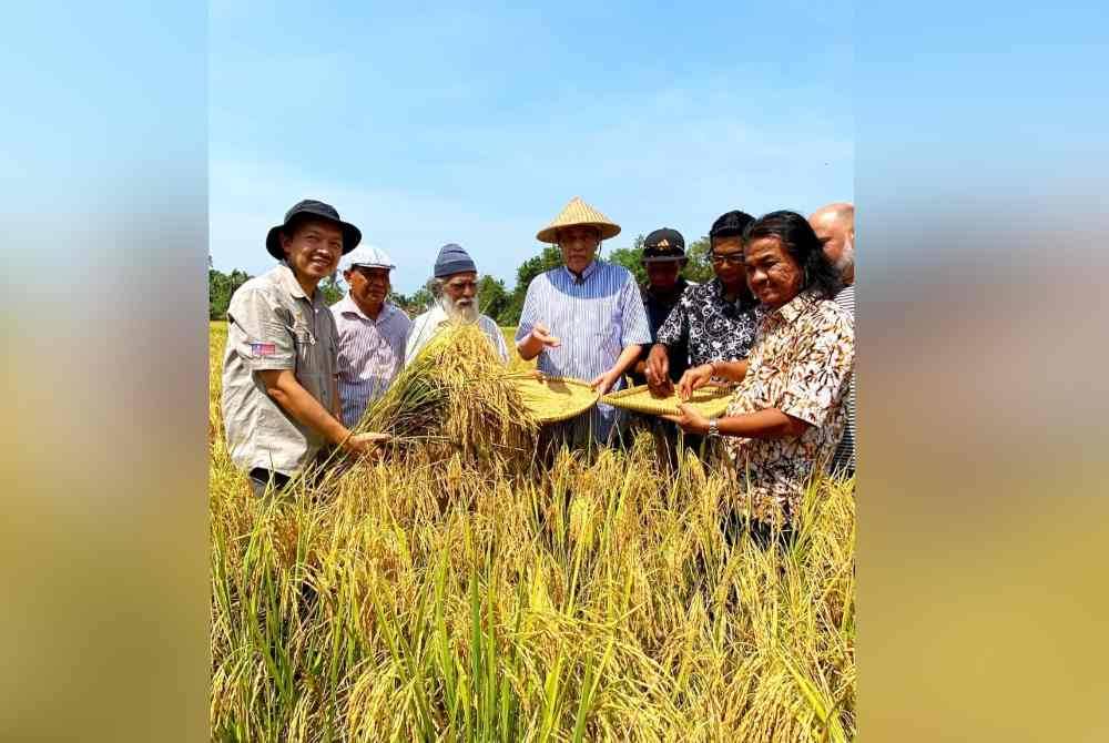 
Mereka yang hadir ke Baruh Padi Alami, begitu teruja melihat hasil padi yang diusahakan oleh Mohd Yusri (kanan).