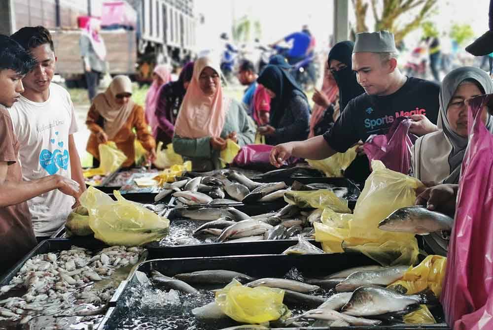 Selain ikan siakap, terdapat juga ikan lain yang dijual pada harga rendah.