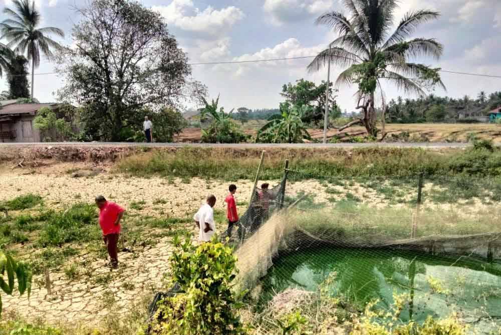 Keadaan air di kawasan ternakan ikan yang semakin mengering