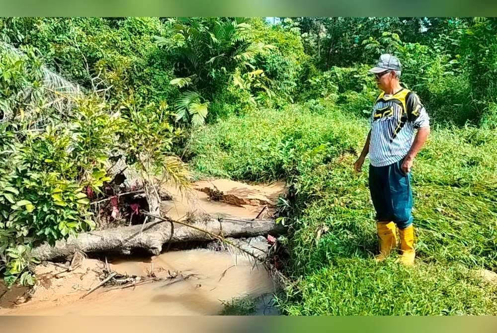 Mohd Aziz menunjukkan pokok tumbang yang menghalang aliran air anak Sungai Temenin.