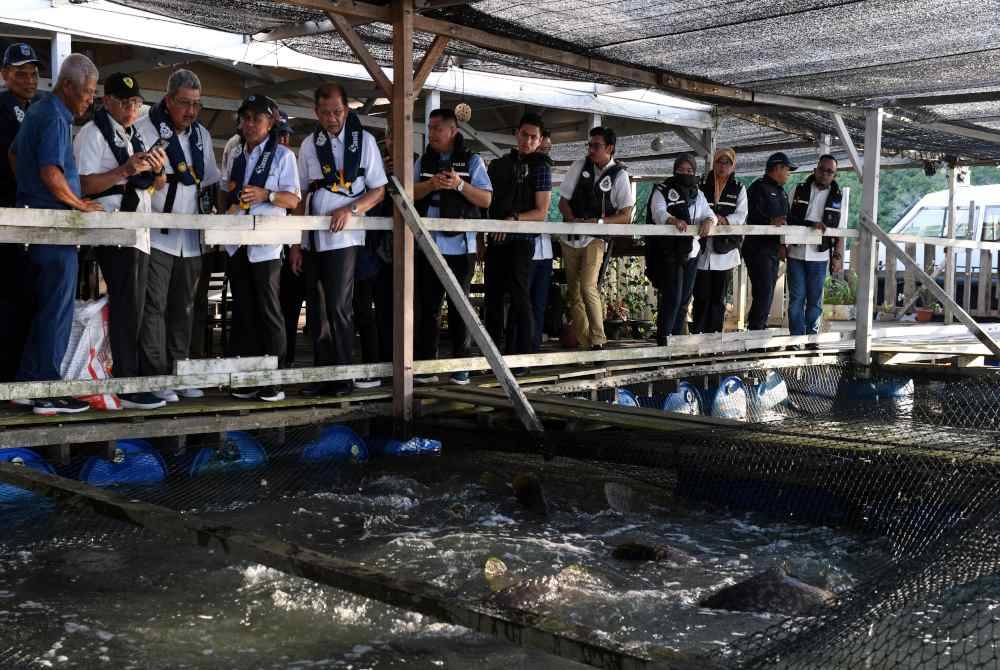 Wan Ahmad Dahlan (tiga, kiri) melawat lokasi penternakan ikan di Pulau Aman. Foto Bernama
