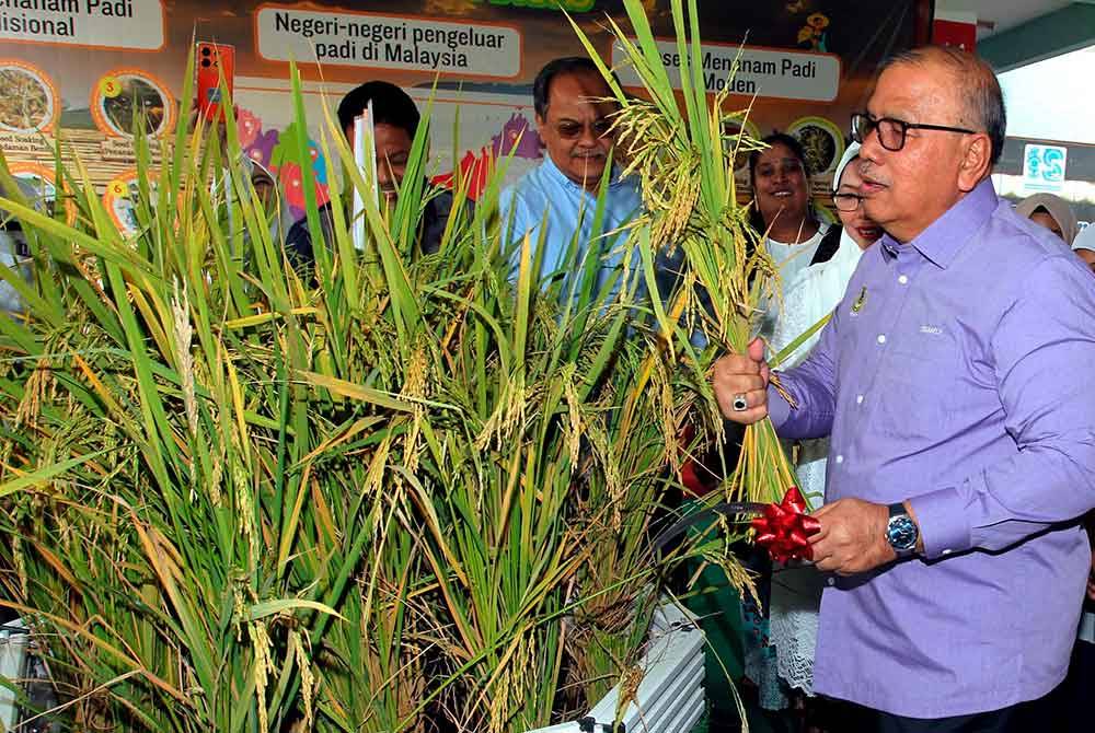 Pengerusi Jawatankuasa Pembangunan Luar Bandar, Perladangan, Pertanian dan Industri Makanan Perak Datuk Zolkafly Harun (kanan) menuai padi pada Majlis Tuaian Sulung Padi Dalam Sekolah di Sekolah Kebangsaan (SK) Rapat Setia hari ini.