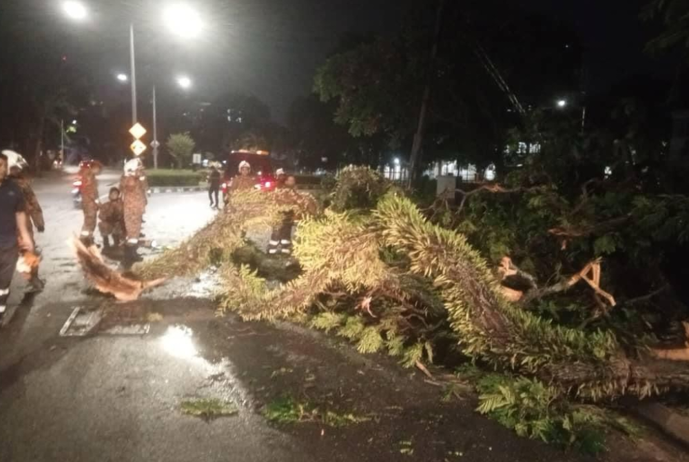 Skuad Pantas MBPP turut dibantu pasukan bomba dalam mengalihkan pokok tumbang dalam kejadian pada malam Isnin.