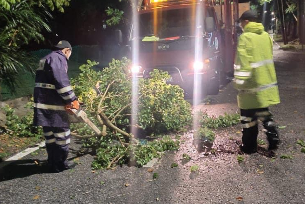 Sebanyak 10 lokasi dilaporkan berlaku pokok tumbang dan dahan patah akibat angin kuat serta hujan lebat pada malam Isnin.
