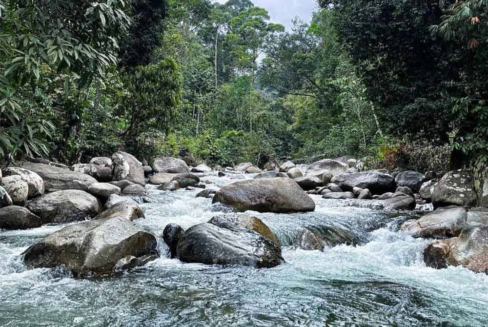 Sungai Pertak menjadi destinasi memancing dan berkhemah.