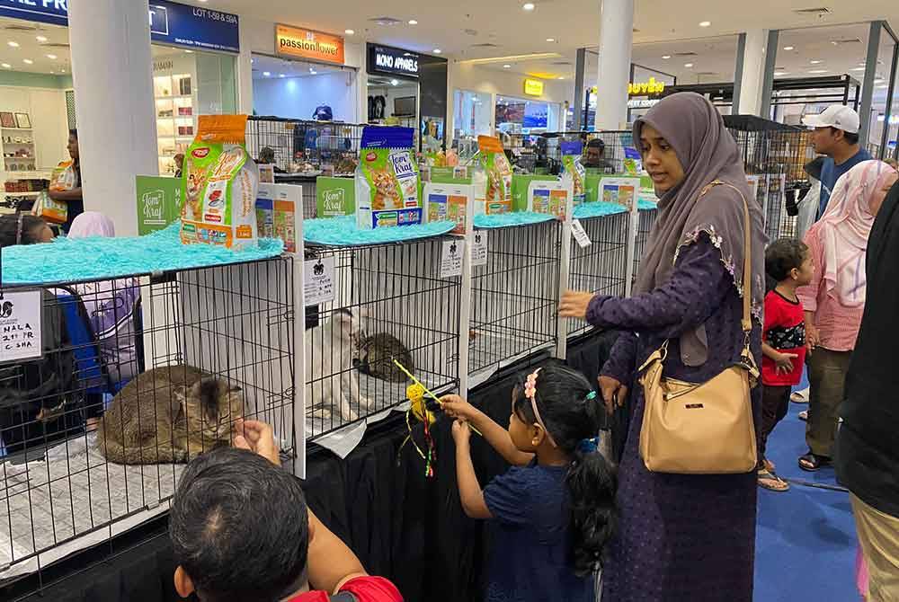 Orang ramai melihat kucing jalanan yang berjaya diselamatkan untuk dijadikan sebagai haiwan peliharaan.