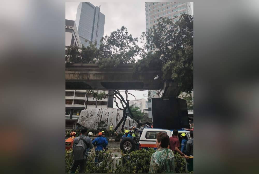 Pokok tumbang turut menghempap landasan monorel di Jalan Sultan Ismail, Kuala Lumpur pada Selasa.