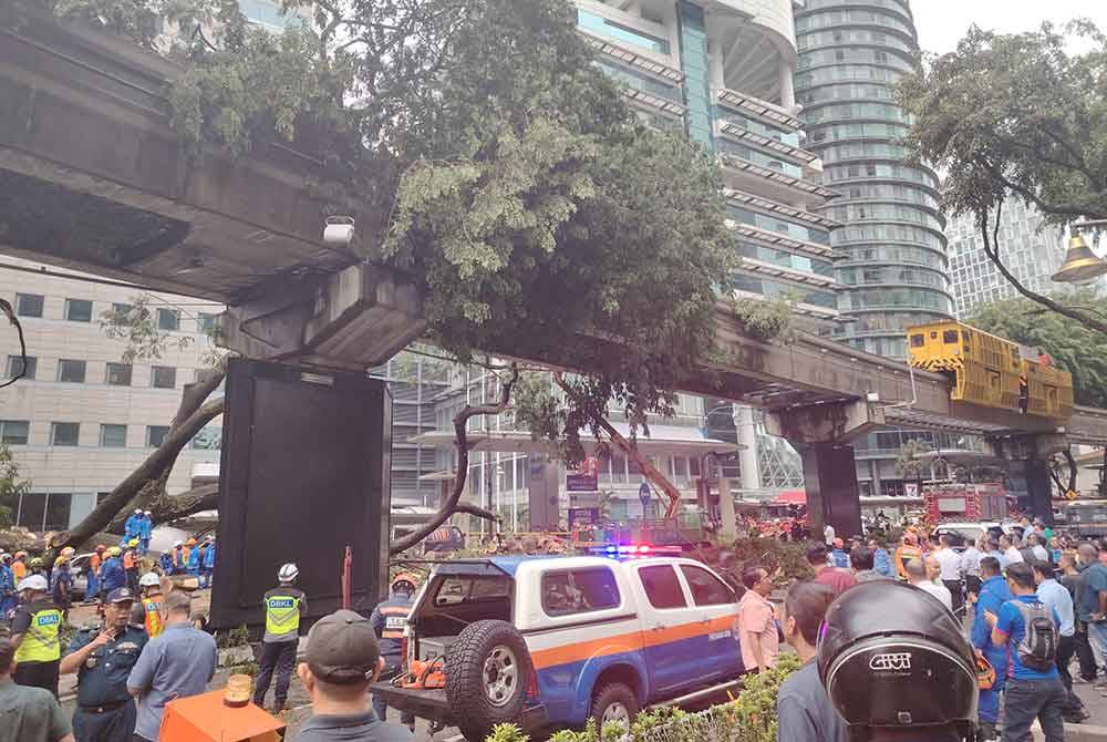 Pokok tumbang di Jalan Sultan Ismail, Kuala Lumpur, pada Selasa, dikenal pasti berusia lebih 50 tahun.