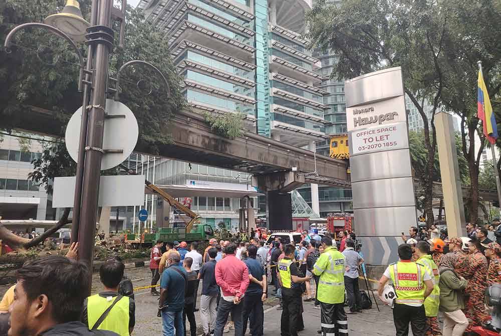 Pokok tumbang di Jalan Sultan Ismail, Kuala Lumpur, pada Selasa, dikenal pasti berusia lebih 50 tahun.