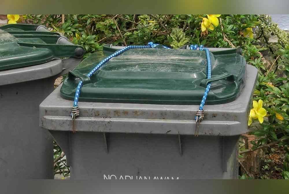 Kebanyakan tong sampah rumah penduduk diikat bagi menghalang monyet menyelongkar tong sampah.