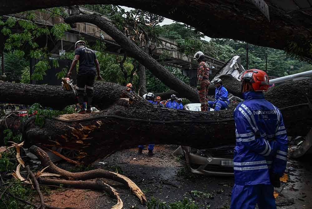 Kejadian pokok tumbang yang menyebabkan sekurang-kurangnya 17 kenderaan terkesan dihempap pokok berkenaan akibat hujan lebat dan angin kencang di Jalan Sultan Ismail pada Selasa.