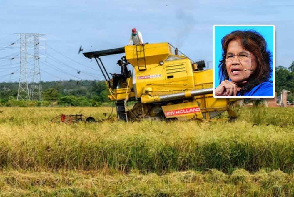Industri pertanian dan makanan itu bukan sahaja mampu menyumbang dari segi pengeluaran makanan serta peluang pekerjaan, namun merangkumi faedah pembangunan modal insan, sosial dan alam sekitar. (Gambar kecil: Fatimah)