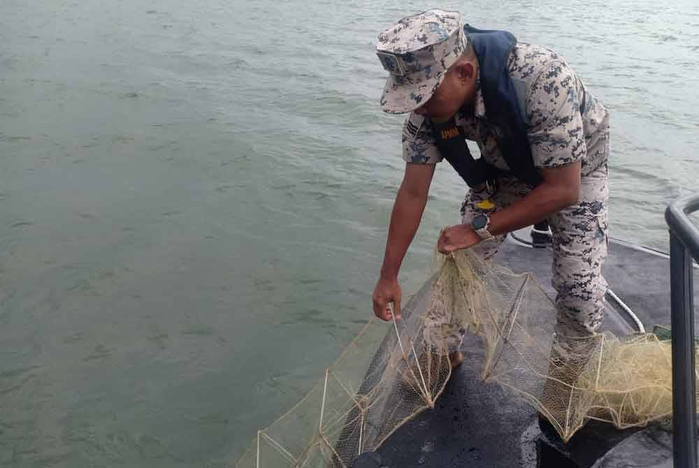 Seorang anggota Maritim menarik keluar bubu naga yang dipasang di sekitar perairan Sungai Limau, Yan baru-baru ini. Foto Maritim