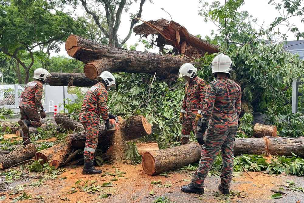 Anggota bomba giat menjalankan kerja-kerja mengalihkan pokok tumbang.
