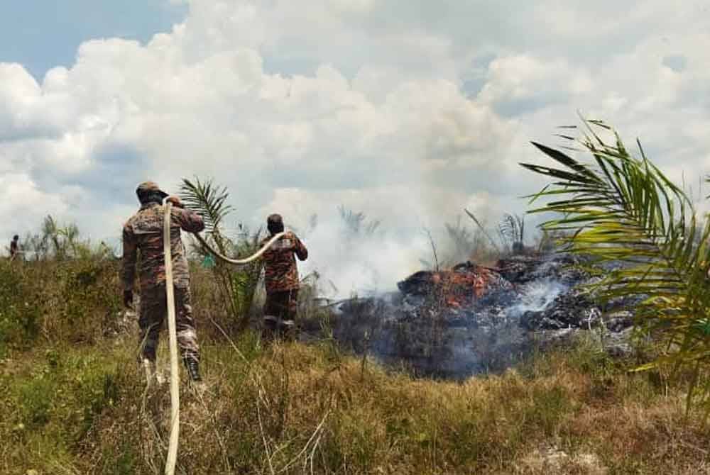 Anggota bomba memadamkan kebakaran melibatkan kawasan tanaman kelapa sawit seluas lima hektar yang berlaku di Felda Tenang, Besut.