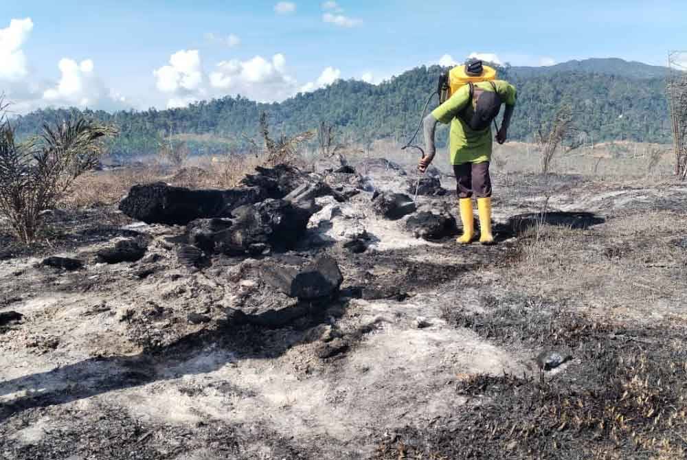 Pekerja ladang melihat kemusnahan yang berlaku di ladang tanaman kelapa sawit di Felda Tenang, Besut.