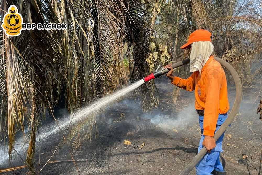 Kebakaran melibatkan kawasan hutan gelam, belukar, kebun sawit dan kebun getah. Foto BBP Bachok