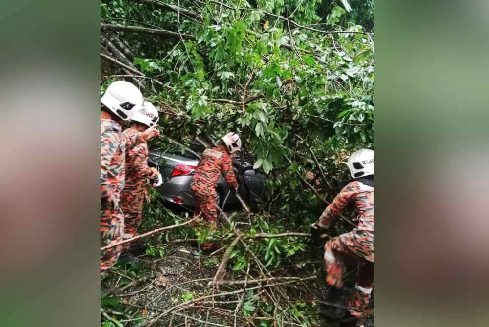 Operasi menyelamat digerakkan anggota bomba dari Balai Bomba dan Penyelamat Kampar menggunakan gergaji rantai. Foto JBPM Perak