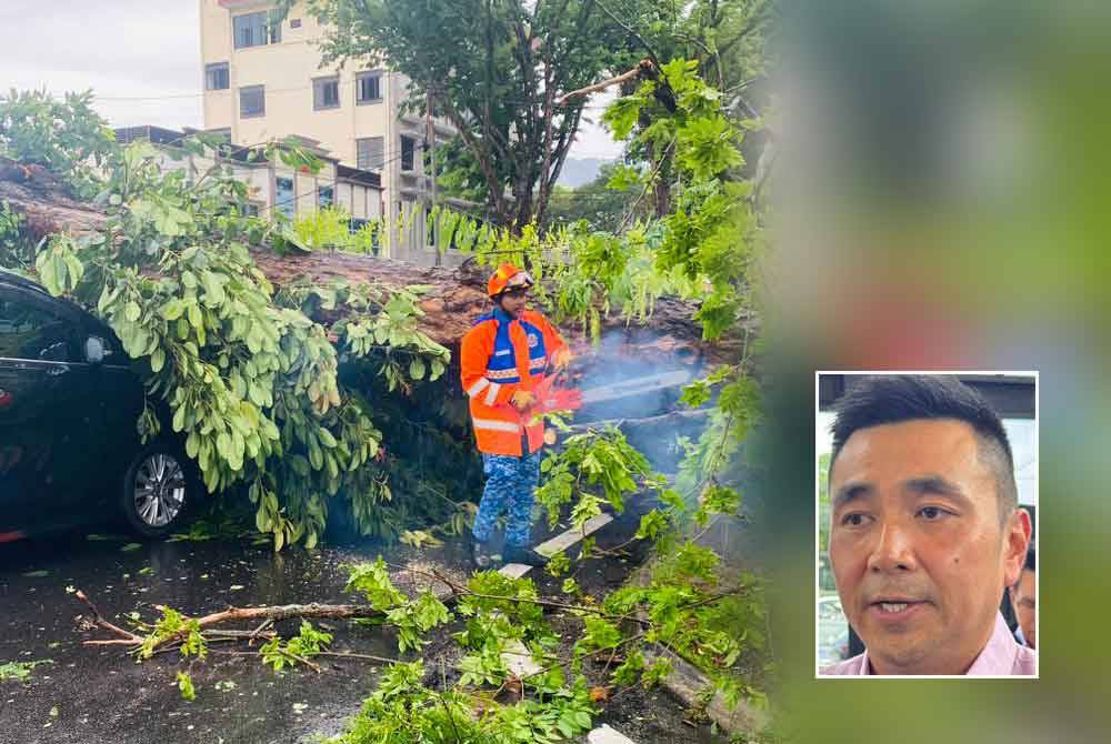 Kejadian pokok tumbang selepas hujan lebat dan angin kuat pada Sabtu. Gambar kecil: H"ng Mooi Lye