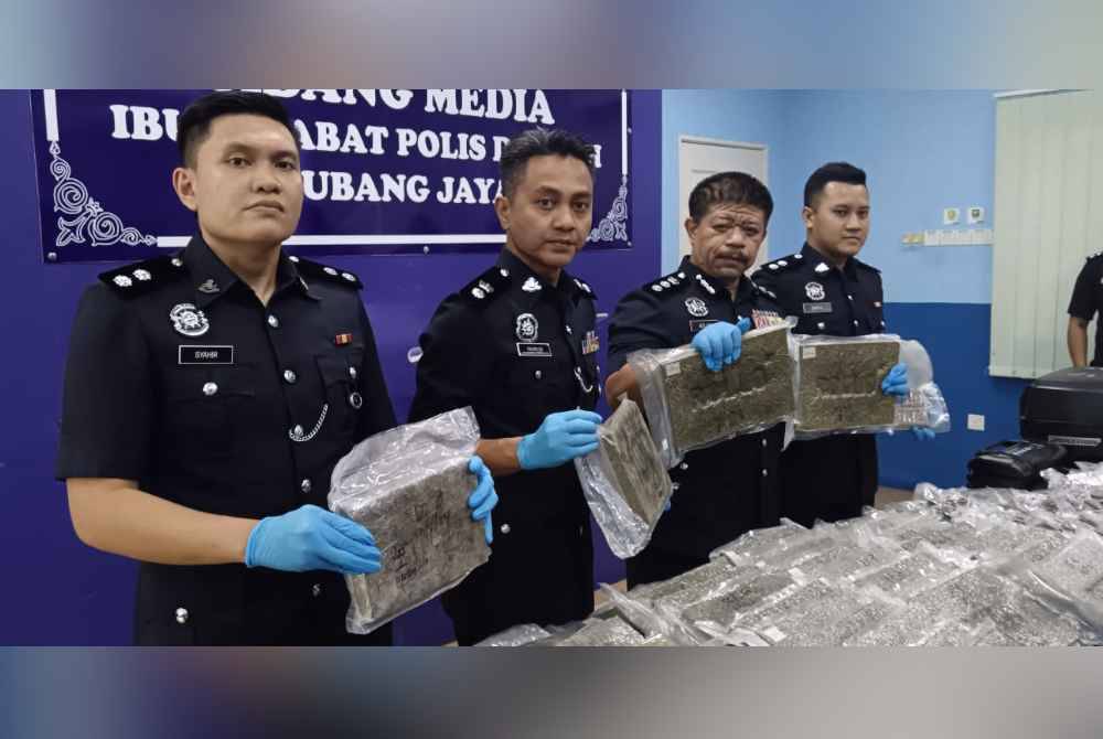 Wan Azlan (dua dari kanan) menunjukkan antara ganja yang dirampas susulan tangkapan dan serbuan sebuah rumah pada Jumaat lalu.