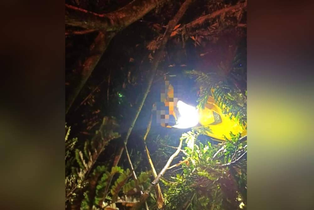 Penunggang motosikal cedera dihempap pokok tumbang. Foto ihsan bomba