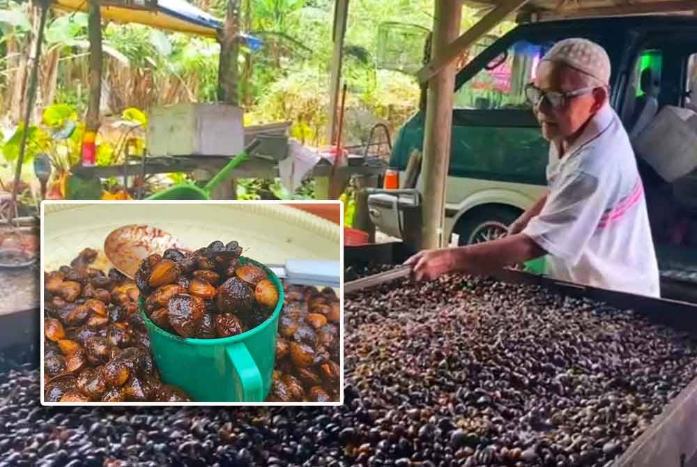 Mat Said membantu untuk kerja-kerja menyalai bagi etok perisa biasa. Gambar kecil: Etok yang dijual RM6 secawan oleh pasangan warga emas dari Felda Chiku 7, di Gua Musang licin dalam tempoh tiga jam.