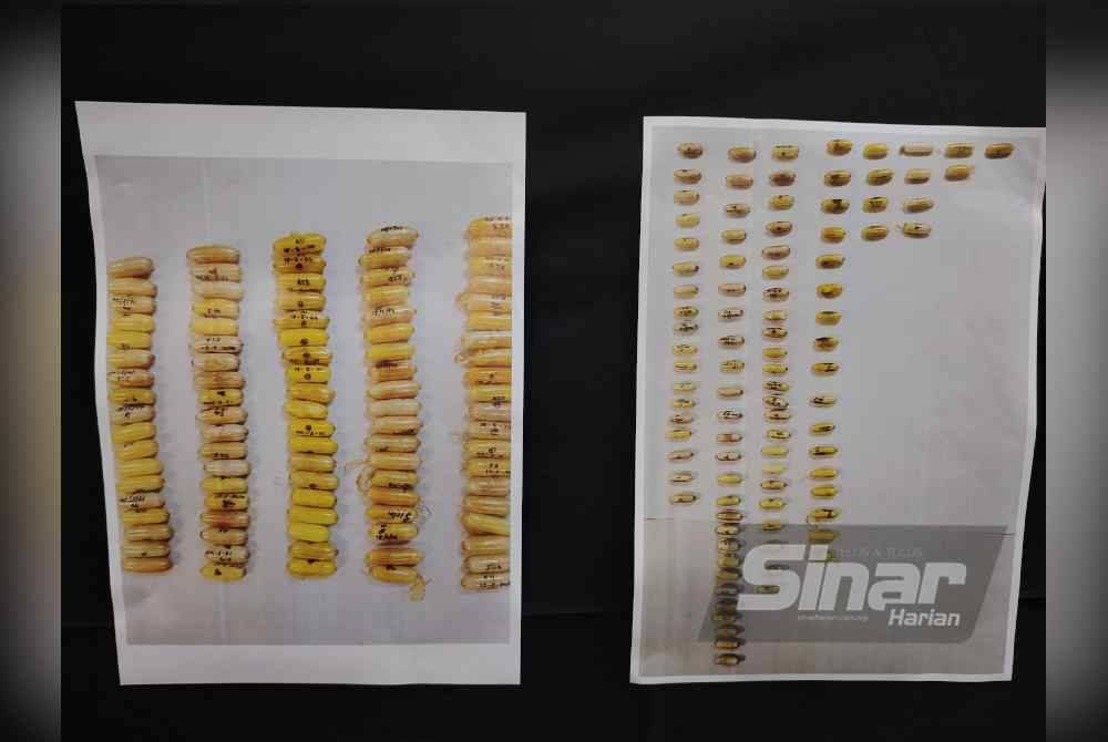 Ketulan kapsul berisi dadah kokain yang dirampas polis susulan penahanan lelaki Peru di KLIA, 17 Mei lalu.