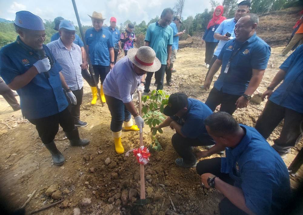 Manndzri menanam anak pokok getah semasa mengadakan lawatan kerja di tapak projek TSB Tanjung Rengas, Hulu Terengganu pada Isnin.