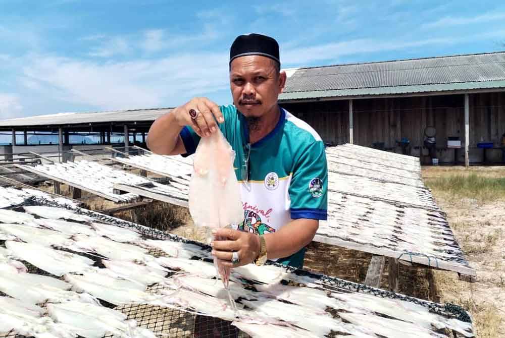 Fazil Zabidi menunjukan sotong-sotong segar yang akan dikeringkan dibawah panas terik matahari.