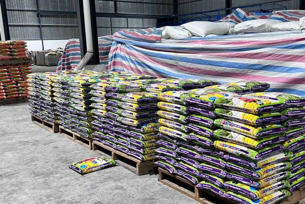 Beras yang dirampas dalam serbuan di sebuah gudang tidak berlesen di Sibu, Sarawak dianggarkan bernilai RM2.1 juta.