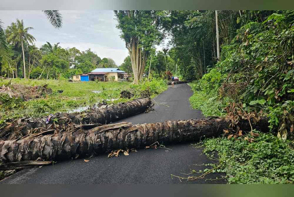 Kejadian banjir menyebabkan pokok-pokok tumbang dan menhalang laluan penduduk di Kampung Serapoh, Parit.